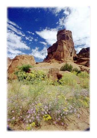 Crow Trail